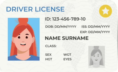 Driving licence